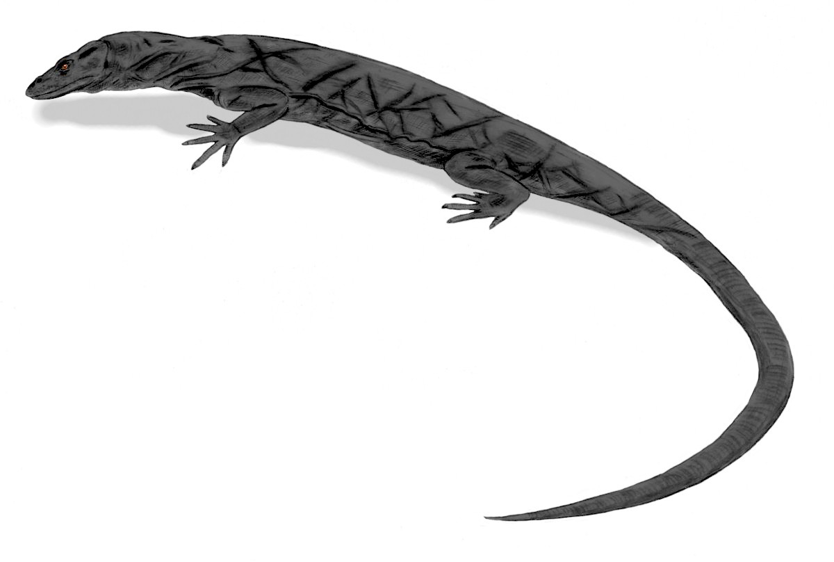 Varanus mabitang