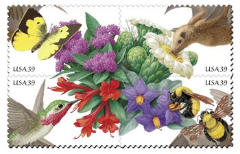06_1020pollination_2[1]