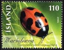 06insects2