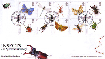 080415-insectspofdc[1]