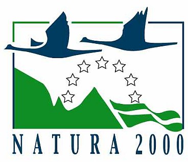 081230_naturak[1]