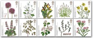 090519_endangered_plants[1]