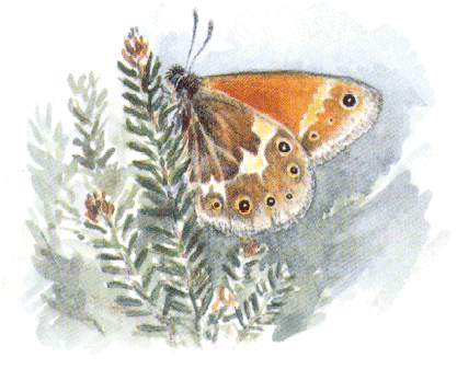 09[1]