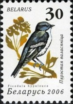 1-postzegel-bonte-vliegenvanger-wit-rusland-belarus-2006[1]