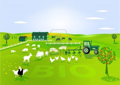 10045446-organic-farming[1]
