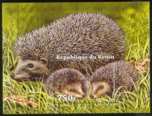 1053_Hedgehog-Stamp-S-Sheet-Benin-2008-MNH[1]
