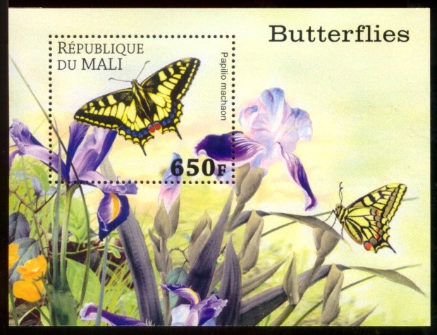1063_The-Old-World-Swallowtail-Butterfly-Stamp-S-Sheet-Mali-MNH[1]