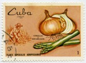 10842731-cuba--circa-1969-a-stamp-printed-in-cuba-shows-onions-and-asparagus-circa-1969[1]