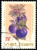10868620-vietnam--circa-1989-a-stamp-printed-in-vietnam-shows-a-solanum-melongena-series-circa-1989[1]