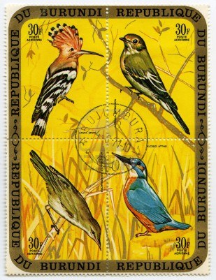 10954196-burundi--circa-1971-a-stamp-printed-in-burundi-shows-a-birds-hoopoe--pied-flycatcher-great-reed-warb[1]