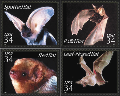 1119bats[1]