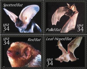 1119bats[1]