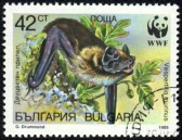 11292541-bulgarien--circa-1989-ein-stempel-in-bulgarien-gedruckt-zeigt-mehrfarbigkeit-fledermaus-vespertilio-[1]