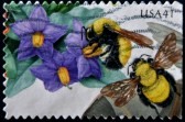 12207213-united-states--circa-2007-stamp-printed-in-usa-shows-purple-nightshade-and-morrison-bumblebee-circa-[1]