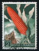 13098986-san-marino--circa-1958-stamp-printed-by-san-marino-shows-corn-circa-1958[1]