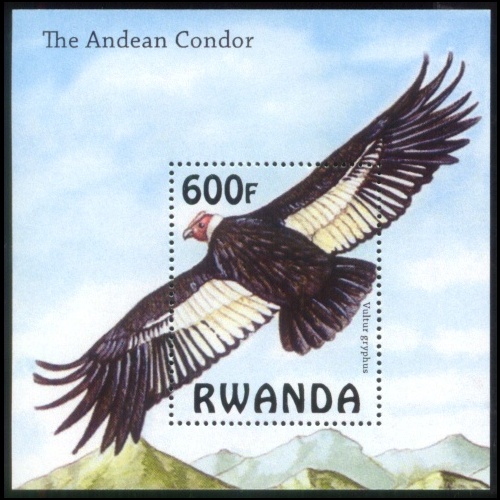 1321_Andean-Condor-Stamp-S-Sheet-Rwanda-MNH[1]