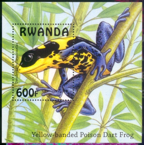 Immunosuppression by Neonicotinoids? – Infectious Diseases in Amphibians