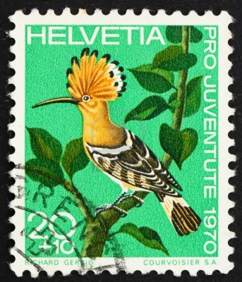 13337221-schweiz--circa-1970-eine-briefmarke-in-der-schweiz-gedruckt-zeigt-wiedehopf-upupa-epops-vogel-circa-[1]