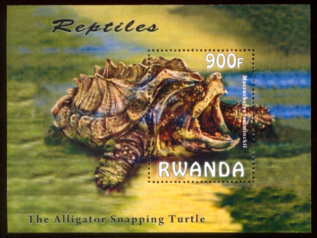 1358_Alligator-Snapping-Turtle-Stamp-S-Sheet-Rwanda-MNH[1]