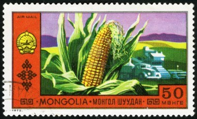 13734166-corn-and-farming-postage-stamp-mongolia[1]