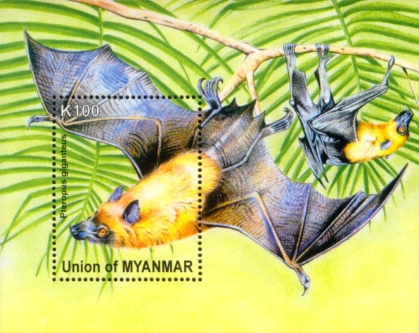 1375_Indian-Flying-fox-(Bats)-Stamp-S-Sheet-Myanmar-MNH[1]