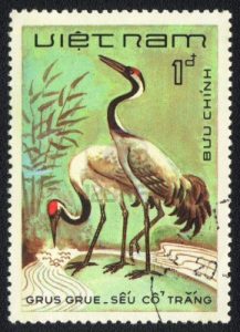 13840609-vietnam--circa-1980-a-stamp-printed-in-vietnam-shows-common-crane--grus-grus--from-series-circa-1980[1]