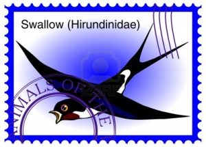 14545064-stamp-with-bird-swallow-hirundinidae[1]