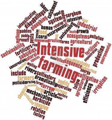 16499203-abstract-word-cloud-for-intensive-farming-with-related-tags-and-terms[1]