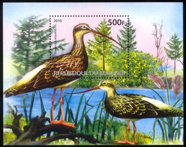 1661_Eurasian-Curlew-Bird-Stamp-S-Sheet-Burundi-2010-MNH[1]
