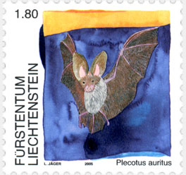 17a_bm_fledermaus[1]