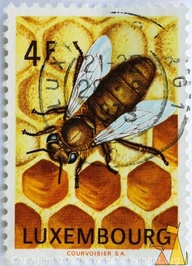 19281104624423603_qe3AcDrQ_b[1]