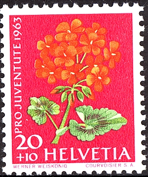 1963_Helvetia_Pelargonium_Zonale[1]
