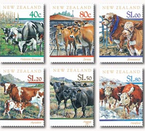 1997---Cattle-of-NZ2222[1]