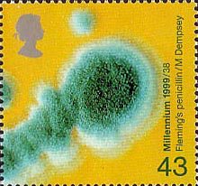 1999_1462_l[1]