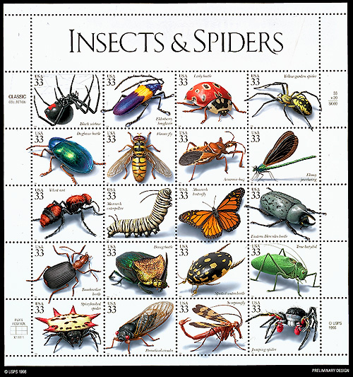1999us_insects[1]