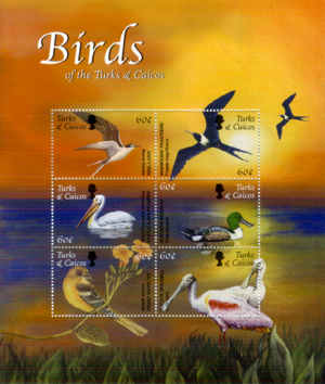 Congressional Briefing on Impacts of Pesticides on Birds, Bees and Broader Ecosystems