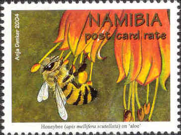 2004bees3[1]