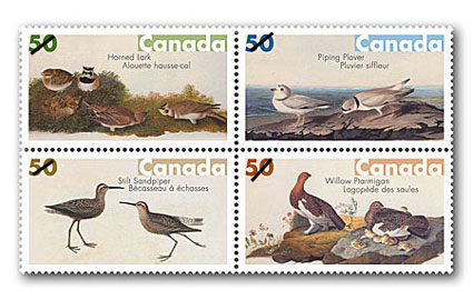 2005_Audubon_stp_d[1]
