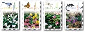 2006_gardens_main[1]