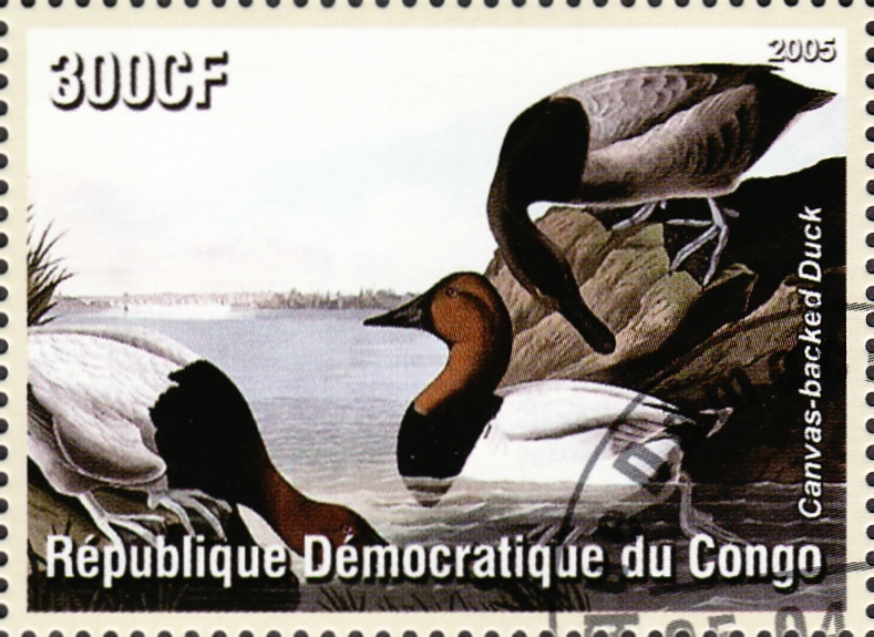 2008KongoTeil3_html_m15bbb74d[1]