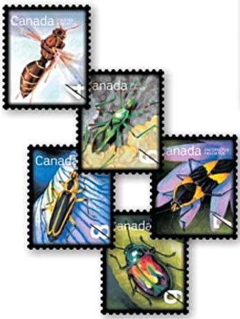 2010-beneficial-insects[1]
