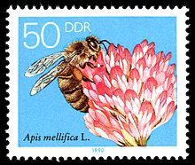 220px-Stamps_of_Germany_(DDR)_1990,_MiNr_3298[1]