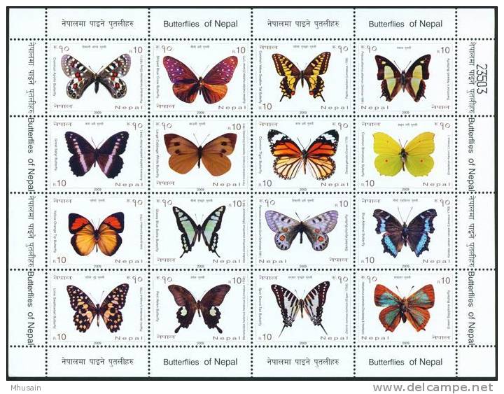 Massive decline in Himalayan butterfly numbers