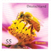 Ansichten eines Bienenhalters