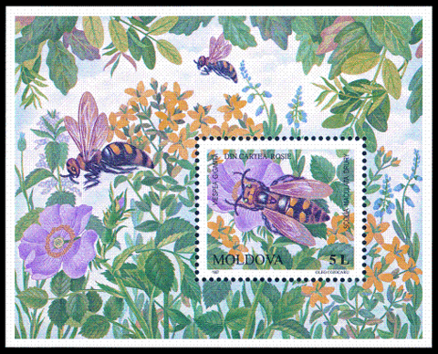 480px-Stamp_of_Moldova_335[1] - kopie