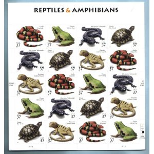 Biologen beobachten seit den 60er Jahren des 20. Jahrhunderts einen erschreckenden Rückgang der Amphibienpopulationen