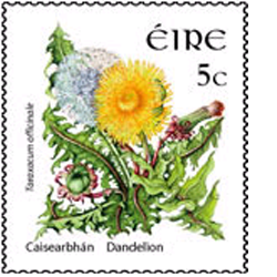 5cstamp[1]