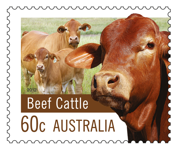 60c-Beef-Cattle_Farming-Australia-2012_low-res[1]