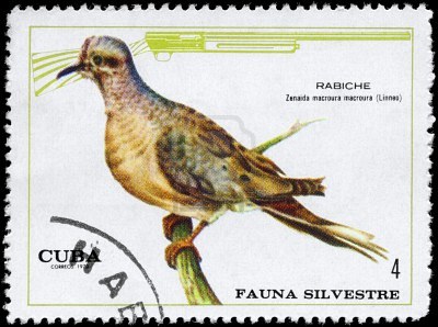 8880468-cuba--circa-1970-a-stamp-shows-image-of-a-turtledove[1]