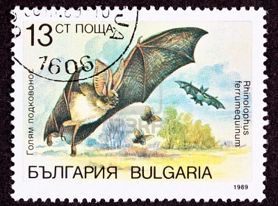 9011358-bulgarian-postage-stamp-horseshoe-bat-rhinolophus-ferrumequinum--the-horseshoe-bat-has-a-horseshoe-s[1]